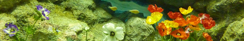 エアコン 工事費込、知っておきたい情報。